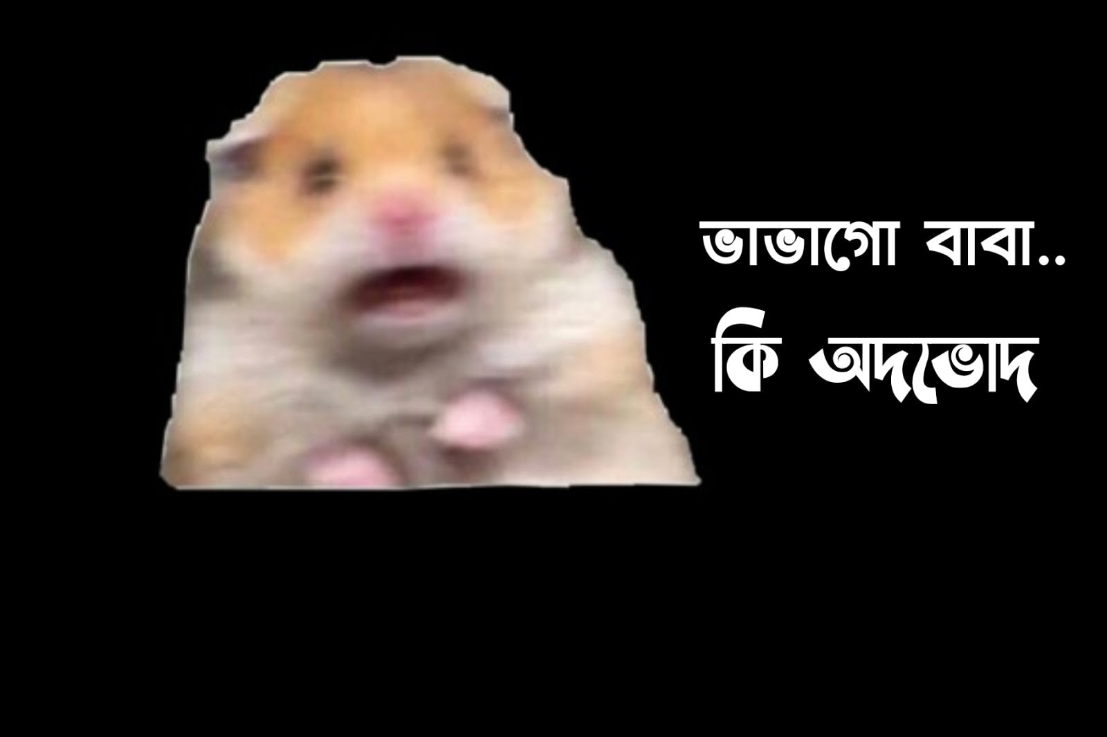 স্টিকার কালেকশন| নিয়ে নিন সমস্ত মজার স্টিকার কালেকশন ফ্রীতে| স্টিকার কালেকশন| নিয়ে নিন সমস্ত মজার স্টিকার কালেকশন ফ্রীতে|