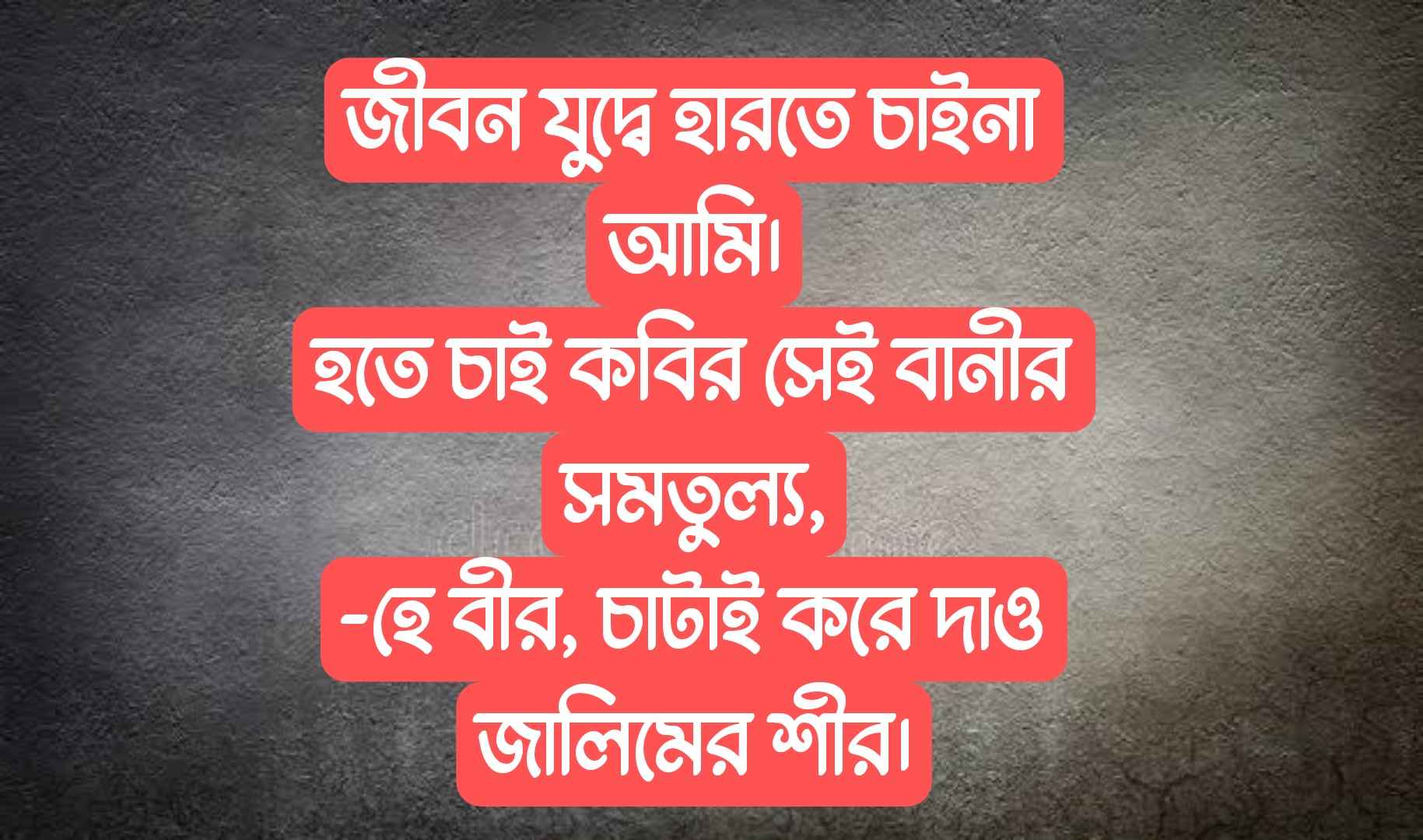 ফেসবুক বায়ো কালেকশন ২০২৩ - Facebook Bio Bangla