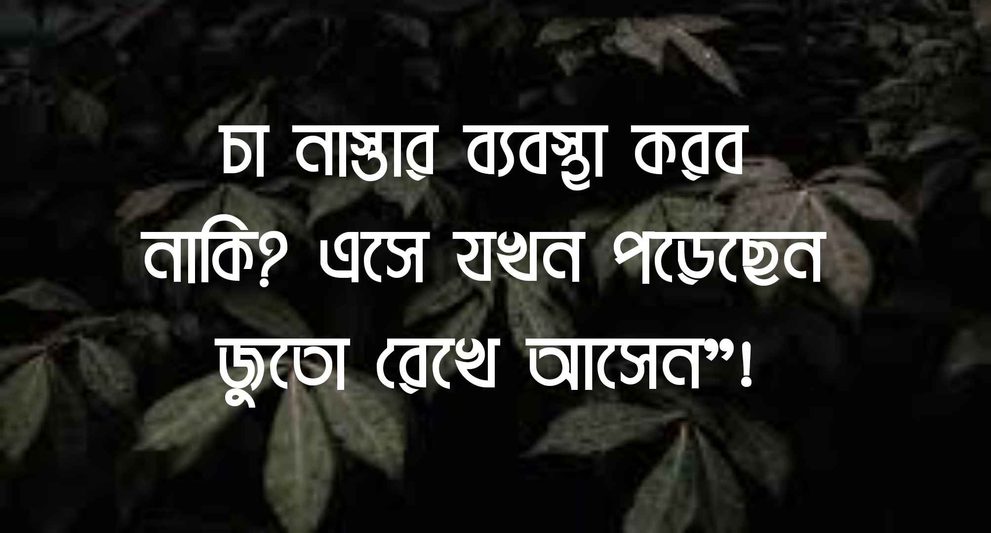 ফেসবুক বায়ো কালেকশন ২০২৩ - Facebook Bio Bangla